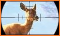 Wild Deer Hunt Animal Simulator related image