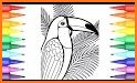 Bird Coloring Pages - Colorful Birds related image