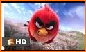 Red Bird Anger Theme related image