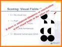 NIH Stroke Scale related image