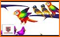 Bird Sort Puzzle:Bird Sort 3D related image