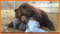 Hugging Bear related image