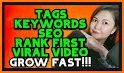 ytBoss - subs, views and tags related image