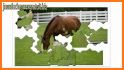 Horses Jigsaw Puzzles for Kids related image