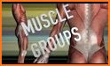 Muscle Premium - Human Anatomy, Kinesiology, Bones related image