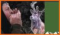 Red Deer Calls related image