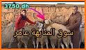 الطلمبة - من ساعي - Altulumba related image