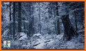 Peaceful Snowfall HD related image