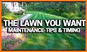 My Lawn: A Guide to Lawn Care related image