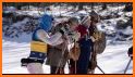 Birkie Events related image