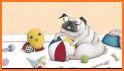 Super Pug Story related image