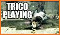 Trico related image