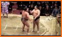 Funny Sumo related image