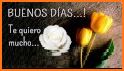 Rosas con Frases Bonitas related image