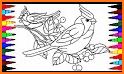 Birds Coloring Book related image