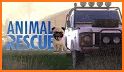 Forklift Animal Transport Rescue Game related image