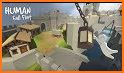 Human FAll Flat New guide related image