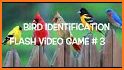 Bird Guide + Quiz Game related image