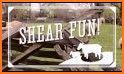 Shear Fun related image