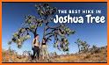 Hiking Guide: Joshua Tree related image