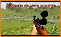 Sniper Traffic Hunter 3D related image