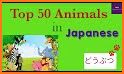 Montessori Vocabulary Animals - English & Japanese related image