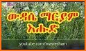 Widase Mariam | ውዳሴ ማርያም related image