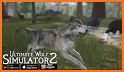 Ultimate Wolf Simulator 2 related image