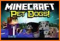 Pet Dog Mod MCPE related image