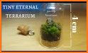 Terrarium - Relax Garden related image