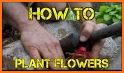 Learn Gardening flowers and plants related image