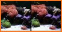 PI VR Coral Reefs related image