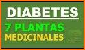 Plantas Medicinales related image