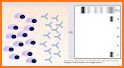 Lichtman's Atlas of Hematology related image