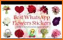 WAStickerApps 🌹Flowers And Roses related image