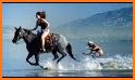 Horse Riding Surfers related image