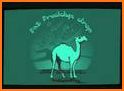 The Camel related image