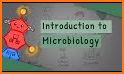 Microbe Notes | Microbiology and Biology Notes related image