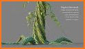 Beanstalk 3D related image