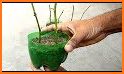 Gardening Tips & Ideas related image