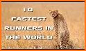 World Top Runners related image