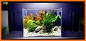 Mini Aqua: Tropical Fish Tank related image