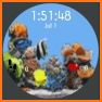 Aquarium Fish Live Watch Faces related image