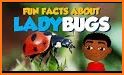 Goody Preschool Ladybugs related image