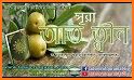 Quran Bangla Tafsir Salat Time Islamic Book Bayan related image