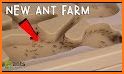 The Ant Colony related image