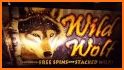 Wolf TIPS - BETTING TIPS related image