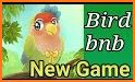 Bird BnB related image