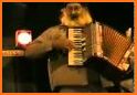 Accordion Studio HQ - Tango, harmonica related image