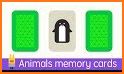 Memory animals pair related image